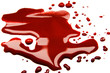Blood stains (puddle)