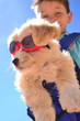 Foto: Welpe mit sonnenbrille Welpe mit sonnenbrille