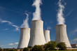 Nuclear power plant