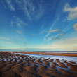 rippled sand