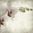 textured old paper background