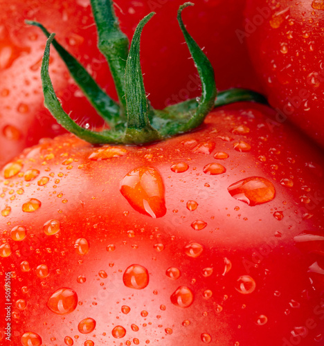 Photo: Tomatoes Tomatoes