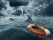 Lost at sea