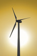 Foto: Windrad Windrad