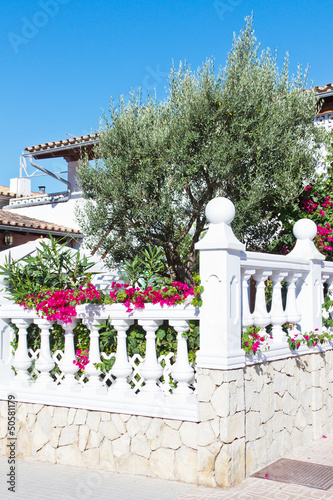Photo: Garten eines Wohnhauses Garten eines Wohnhauses