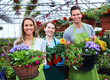 Foto: People working in nursery. People working in nursery.