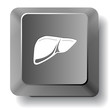 Liver. Vector computer key.