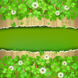 Wood background with clover