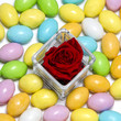 Easter eggs with a rose