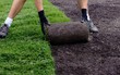 New lawn