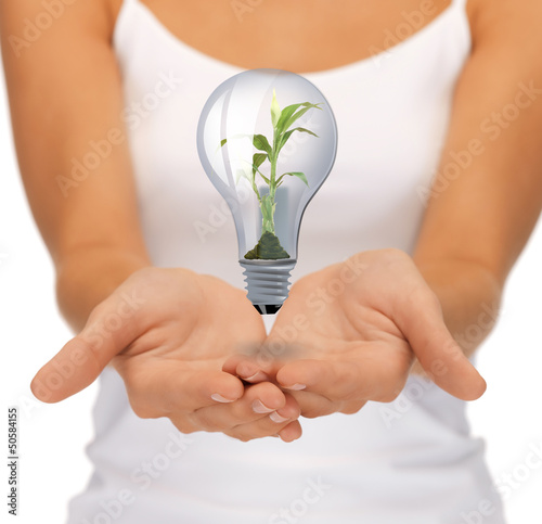 Photo: hands with green light bulb hands with green light bulb