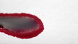 Red drops dripping on white blotting paper