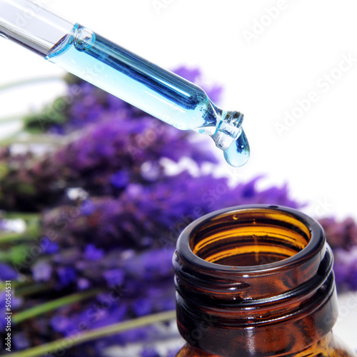 Photo: lavender essence lavender essence