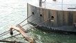 Verankerter Schwimmsteg mit Treibholz auf dem Rhein