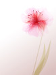 vector background with flower