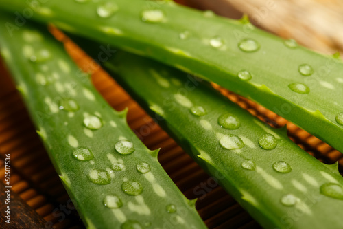 Photo: Aloe vera leaves on wooden background, close up Aloe vera leaves on wooden background, close up
