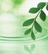 Eco-image made from CG synthesis