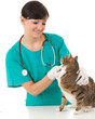female vet in green protective uniform with cat in surgery