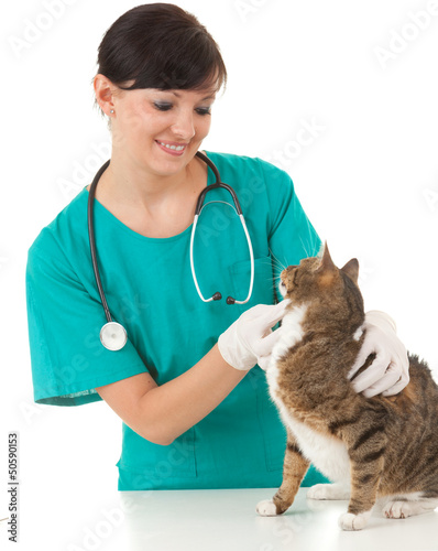 Photo: female vet in green protective uniform with cat in surgery female vet in green protective uniform with cat in surgery