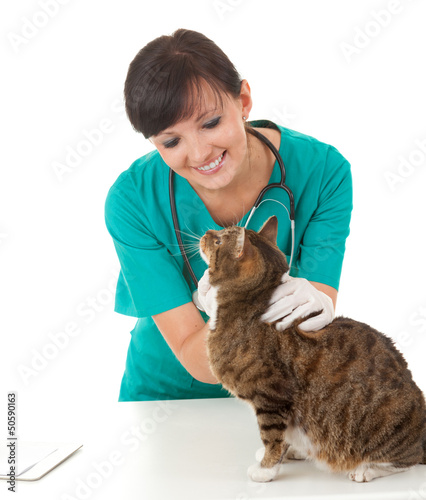 Photo: female vet in green uniform with cat in surgery female vet in green uniform with cat in surgery