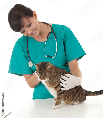Photo: female vet with cat in surgery female vet with cat in surgery