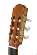 detail of a guitar neck on white background
