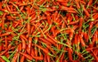 Red Chili