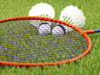 Federball