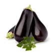 eggplant or aubergine and parsley leaf