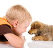 boy with puppy. isolated on white