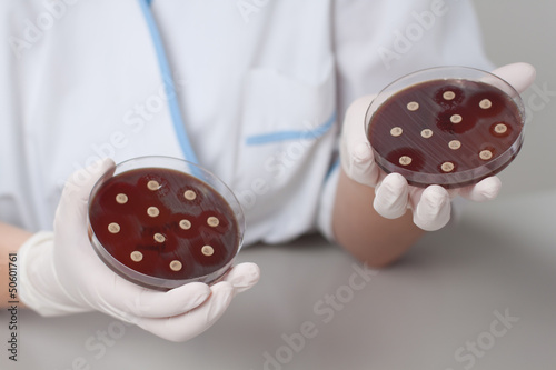 Photo: Lab scientist with petri dish Lab scientist with petri dish