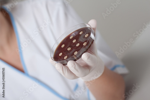 Photo: Lab scientist with petri dish Lab scientist with petri dish