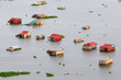 Land unter am Tonle Sap
