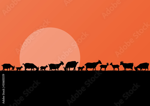 Vector: Farm dairy goats herd silhouettes landscape illustration backgro Farm dairy goats herd silhouettes landscape illustration backgro