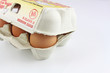 eier in einer eierschachtel