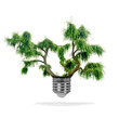 Arbre poussant dans une ampoule - concept écologique
