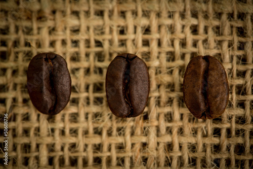 Photo: Three coffee beans in a row Three coffee beans in a row
