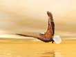 Eagle flying - 3D render