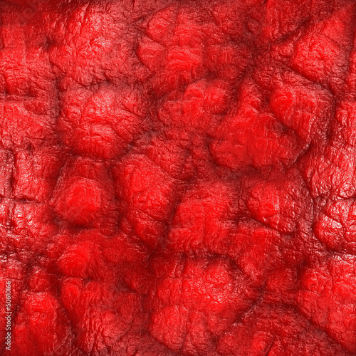 Photo: Inside body 2 (Seamless texture) Inside body 2 (Seamless texture)