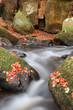 Blurred Water Detail With Rock...