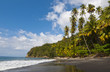 Tropical Beach