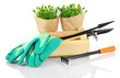 Garden tools isolated on white