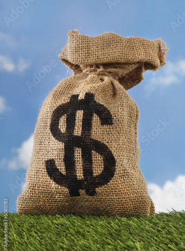Photo: Burlap sack with dollar sign money bag on field Burlap sack with dollar sign money bag on field