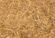 getrocknetes Stroh - Hintergrund / Textur