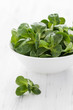 frischer Feldsalat