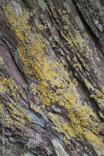 Photo: Rock / Cliff with Lichen Background Texture / Nature Abstract. Rock / Cliff with Lichen Background Texture / Nature Abstract.