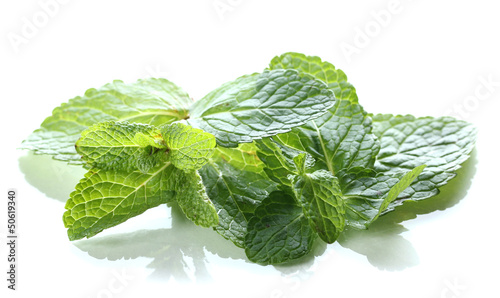 Photo: Mint isolated on white Mint isolated on white