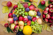 Autumn fruit