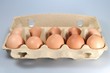 Eier01