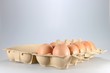 Eier03